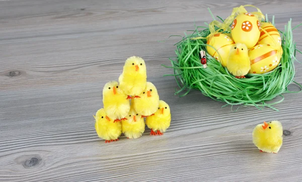 Pequena galinha e ovos de Páscoa — Fotografia de Stock