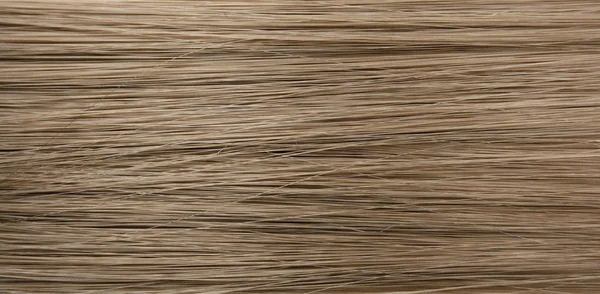 stock image Human hair