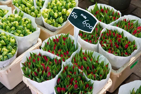 stock image Flowers market