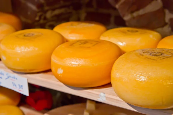 Cheese rounds — Stock Photo, Image