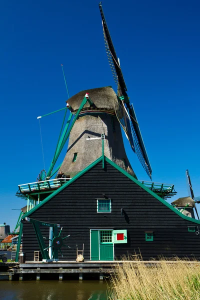 네덜란드에 있는 풍차 — 스톡 사진