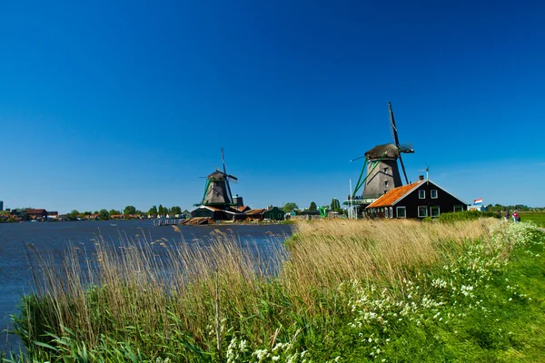 Вітряний млин в Голландії — стокове фото