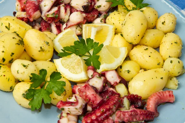Octopus met aardappelen — Stockfoto
