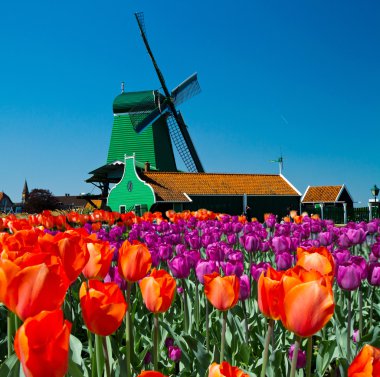 Windmill in holland clipart