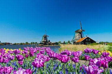 Windmill in holland clipart