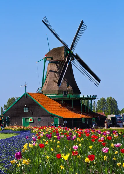 Molino de viento en Holanda — Foto de Stock
