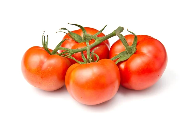 Красный томатный овощ — стоковое фото
