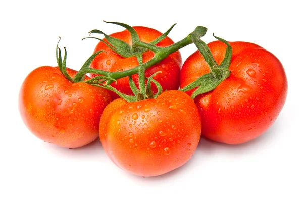 Tomates vermelhos isolados — Fotografia de Stock