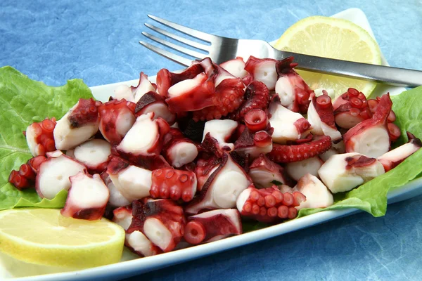 Chobotnice salát — Stock fotografie