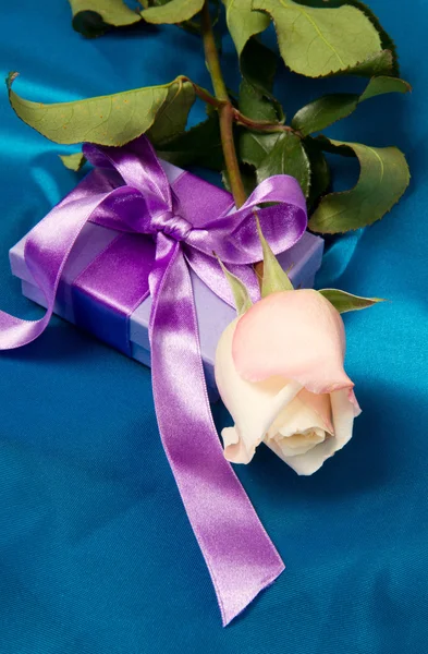 로즈와 라일락 선물 — 스톡 사진