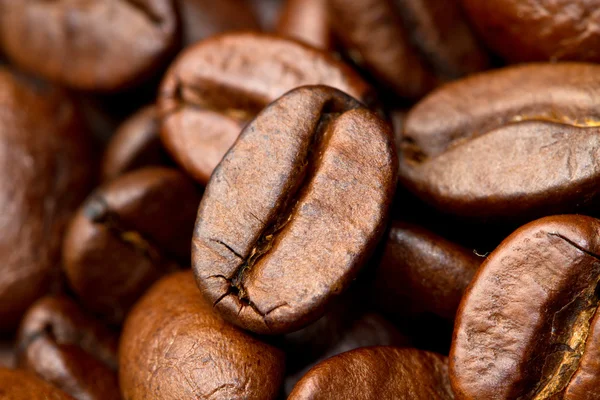 Coffee beans — Stock Photo, Image
