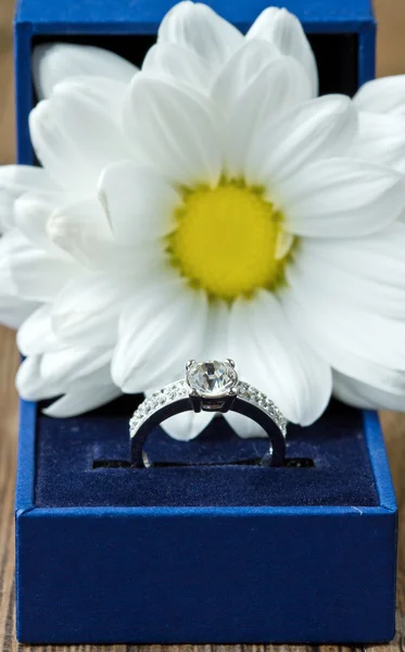 Composição de anel e flor — Fotografia de Stock