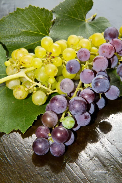 Winogrona białe i czarne — Zdjęcie stockowe