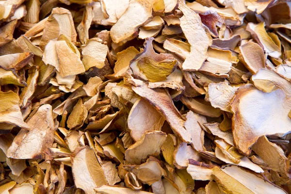 Mushroom dried — Stock Image Mushroom dried Stock Image