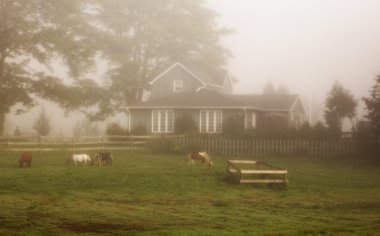 kırsal homestead