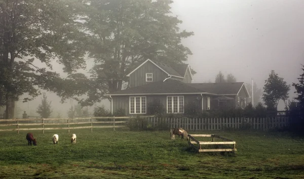 Kırsal homestead — Stok fotoğraf
