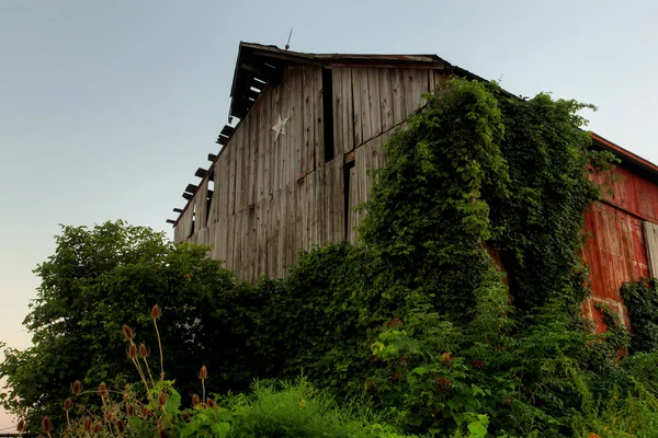 오래 된 판 잣 집 — 스톡 사진