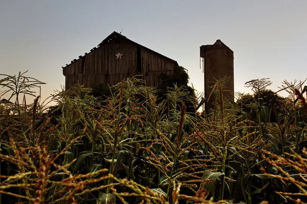 Herdade rural — Fotografia de Stock