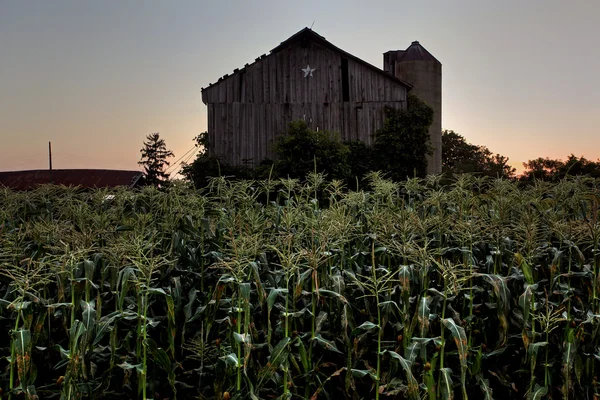 Rural homestead — Stockfoto