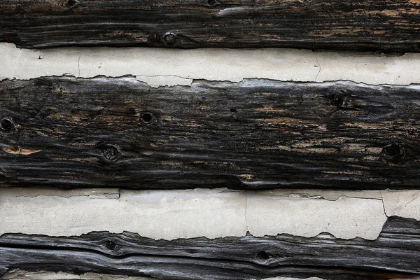 Текстурованою деревини — стокове фото