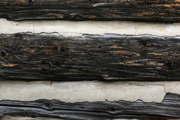 Texturált fa — Stock Fotó