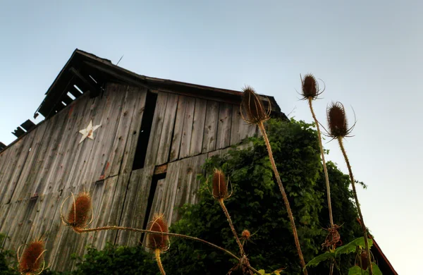 古い小屋 — ストック写真