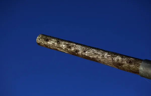 Teksturą drewna — Zdjęcie stockowe