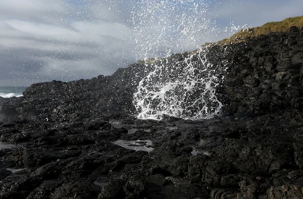 Blowhole in action — Stock Photo, Image