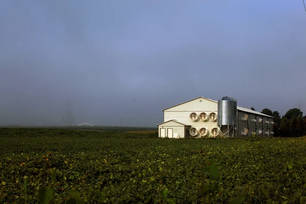 Moderní drůbeží haly — Stock fotografie