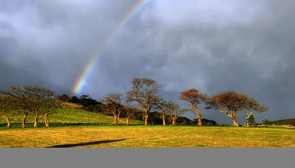 Arco iris sobre una granja —  Fotos de Stock
