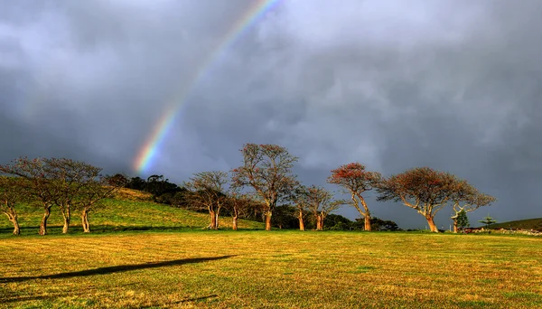 Arco-íris sobre uma fazenda — Fotografia de Stock