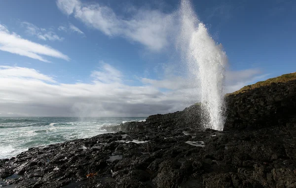Blowhole in Action — Stock Photo, Image