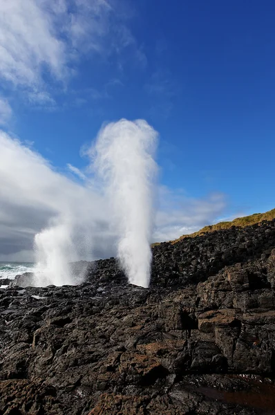 Blowhole in action — Stock Photo, Image
