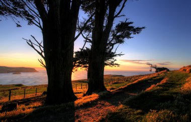 Otago Peninsula, Dunedin clipart