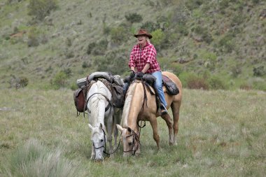 Female horse rider clipart