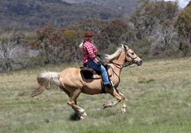 Female horse rider clipart