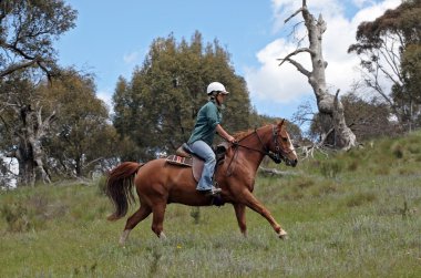 Female horse rider clipart