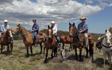 Group of riders clipart