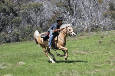 Man and horse clipart