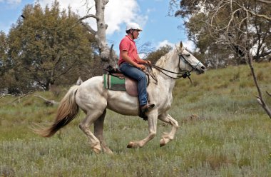 Man and horse clipart