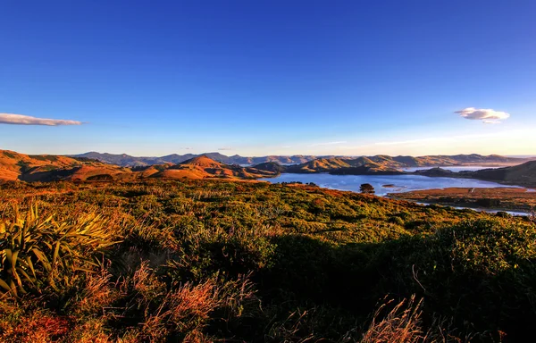 Poloostrov Otago, dunedin — Stock fotografie