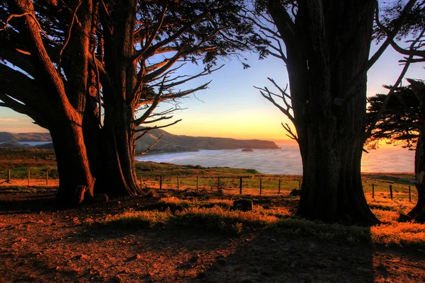 Χερσονήσου Otago dunedin — Φωτογραφία Αρχείου