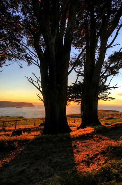 Otago Peninsula, Dunedin — Stockfoto