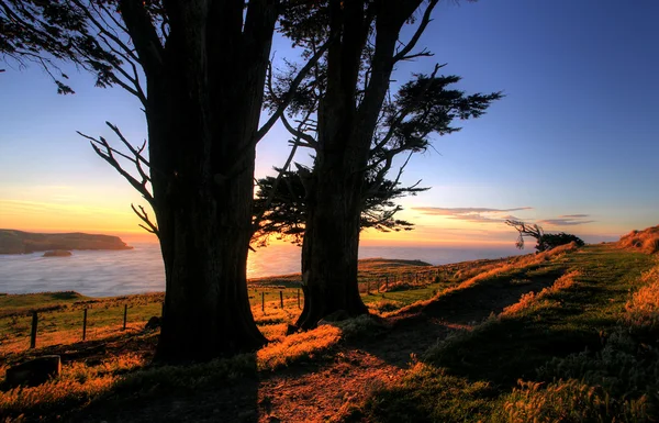Península de Otago, Dunedin — Fotografia de Stock