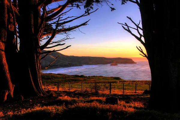 Península de Otago, Dunedin — Fotografia de Stock