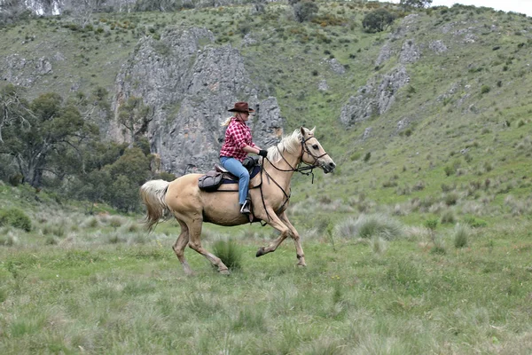 Samice koně jezdec — Stock fotografie
