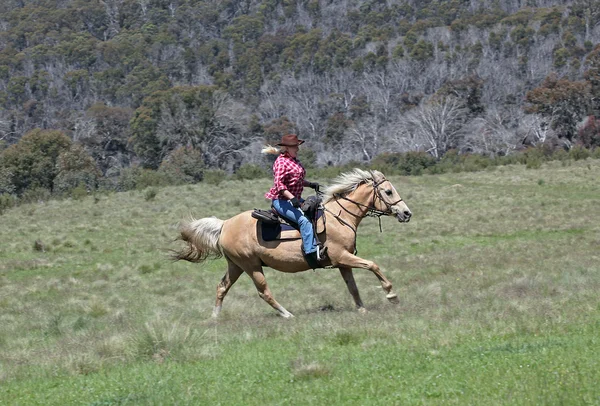 Jeździec kobiece — Zdjęcie stockowe
