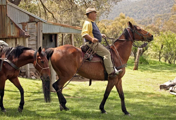 Man en paard — Stockfoto