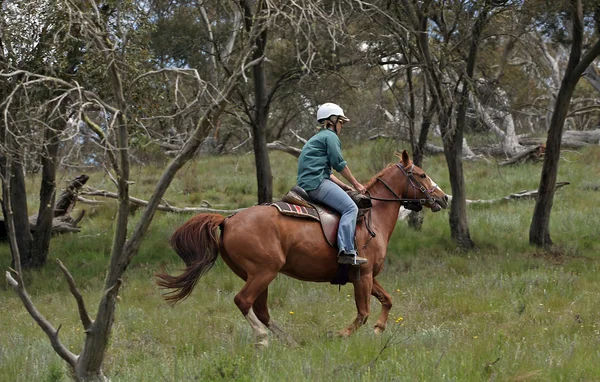Samice koně jezdec — Stock fotografie