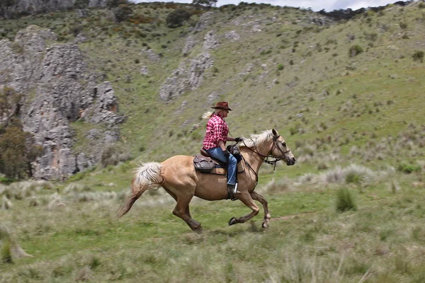 Kadın at binicisi — Stok fotoğraf